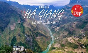 cover hagiang