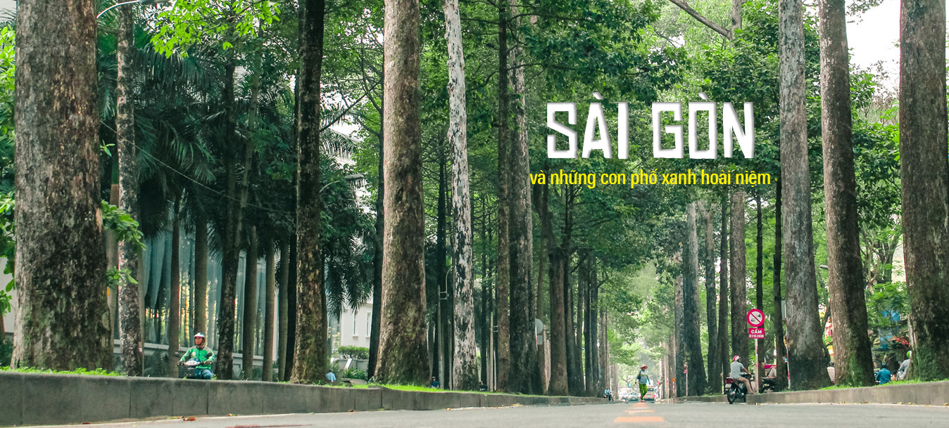 Sài Gòn và những con phố xanh hoài niệm