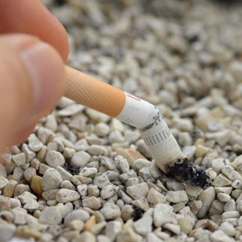 Trường đại học Nhật Bản từ chối tuyển dụng giảng viên hút thuốc lá