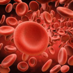 Argentina điều chế huyết thanh ngăn hội chứng huyết tán tăng ure máu