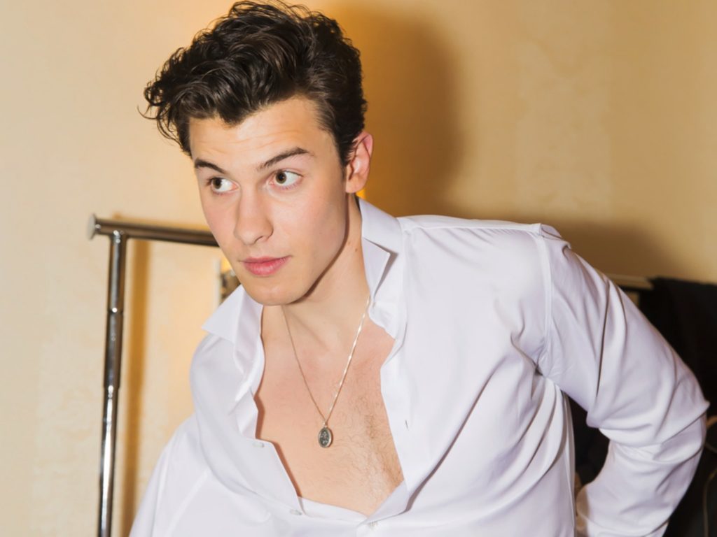 shawn mendes bi ton thuong