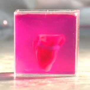 [Video] Đột phá y học: Trái tim in 3D đầu tiên từ mô người