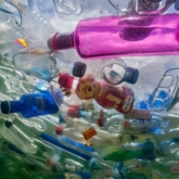 Xuất hiện “mưa nhựa” ở Colorado: hồi chuông cảnh báo cho thói quen lạm dụng đồ nhựa của con người