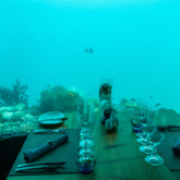 [Video] Bữa ăn diệu kỳ của nhà hàng nằm dưới lòng đại dương