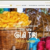 Toluavietnam.net – cổng thông tin trực tuyến đầu tiên về tơ lụa Việt nam