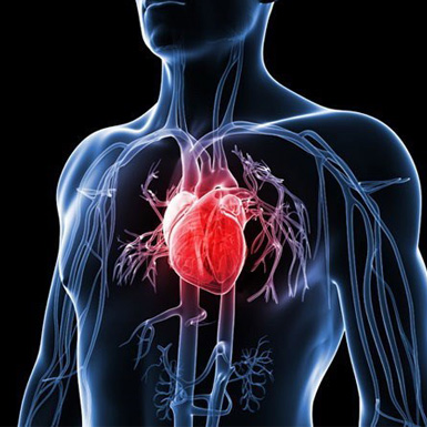Điều trị sớm cholesterol cao giúp ngăn chặn nguy cơ bệnh tim, đột quỵ