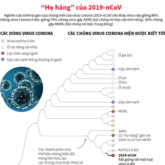 [Infographics] Tìm hiểu những ”họ hàng” của virus chủng 2019-nCoV