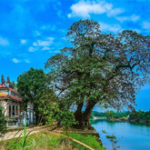 Khám phá hương xưa làng cổ Phước Tích ở vùng đất cố đô Huế