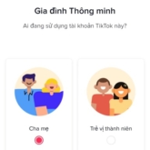 TikTok khởi động chiến dịch Tết 2021: Có TikTok, dẫu ở xa, Tết cũng hóa gần