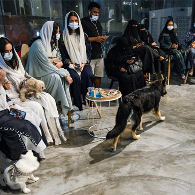 Kỳ lạ quán càphê đầu tiên dành cho chó tại Saudi Arabia