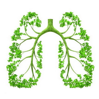 6 thói quen tốt cho phổi mà bạn nên biết