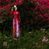Hoa hậu Tiểu Vy khoe sắc trong bộ sưu tập áo dài “Mộng dưới hoa”