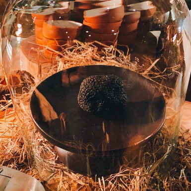 Cùng thưởng thức sự bùng nổ hương vị của đêm tiệc nấm truffle độc đáo 