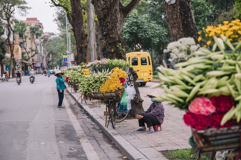Phố phường Hà Nội – một điểm đến quen thuộc của những người yêu thích sự lãng mạn và cổ điển. Hãy cùng chiêm ngưỡng những hình ảnh về những con phố cổ độc đáo và những ngôi nhà truyền thống tuyệt đẹp, giúp ta khám phá thế giới cổ kính và độc đáo của thủ đô Hà Nội.