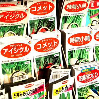 Nhật Bản cấm mang ra nước ngoài hạt giống cây trồng, cây giống