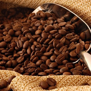 Caffeine có tác dụng chống lại khối u ác tính ở người