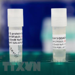 Dịch COVID-19: Hiệu quả vaccine của Novavax lên tới hơn 90%