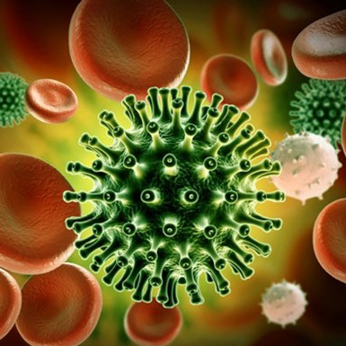 Nghiên cứu mới: Virus Corona đã gây đại dịch từ cách đây 20.000 năm
