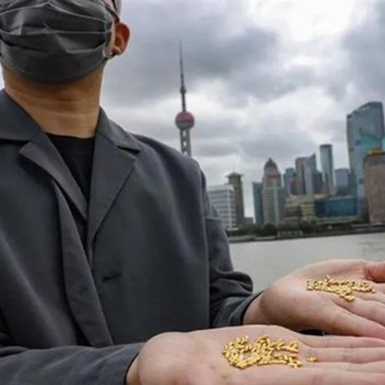 Nghệ sỹ Trung Quốc gây sốc khi ném bỏ 1.000 “hạt gạo” làm từ vàng