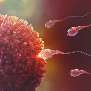 COVID-19 có thể ảnh hưởng đến hệ sinh sản của nam giới trong 2 tháng