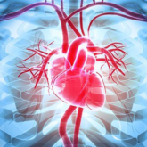 Cảnh báo nguy cơ các bệnh tim mạch sau khi mắc COVID-19