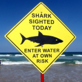 Australia đóng cửa các bãi biển ở Sydney sau sự cố cá mập giết người