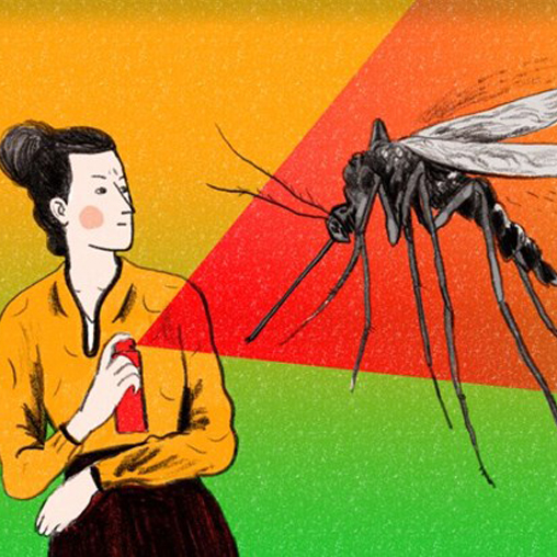Nghiên cứu mới: Phát hiện lý do muỗi thích đốt vào da người