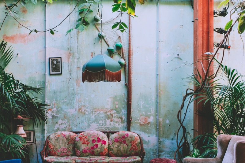 8 lời khuyên giúp ngôi nhà của bạn ngập tràn màu xanh thiên nhiên