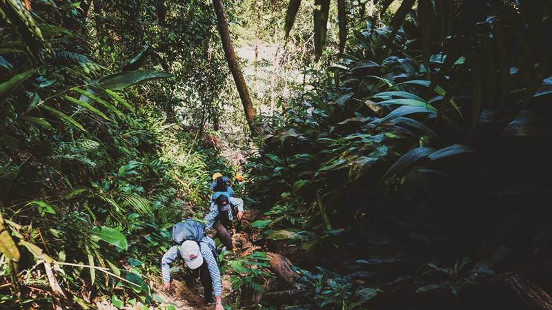 Trekking Đamb’ri cùng những người thợ rừng và nhiều cái đầu tiên
