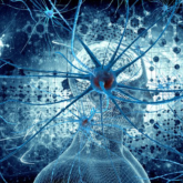 Tín hiệu tích cực từ ứng dụng AI trong điều trị thoái hóa thần kinh
