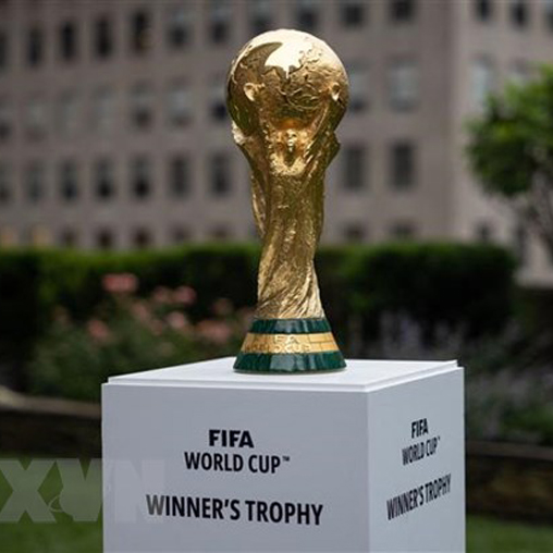 Saudi Arabia sẽ cấp thị thực cho khán giả xem World Cup tại Qatar