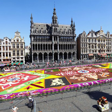 Bỉ: Thảm hoa Brussels chào đón du khách sau 2 năm vắng bóng