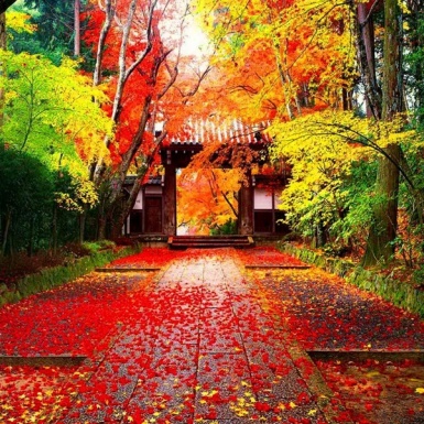 “Hạ cánh” đến 5 quốc gia có quan cảnh mùa thu đẹp như tranh