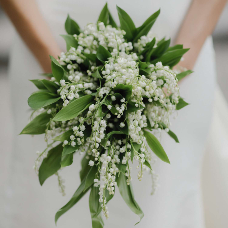 #YeuLaCuoi – Ý nghĩa của 15 loài hoa đặc biệt trong ngày cưới