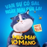 Siêu phẩm hoạt hình “Mèo mập mang 10 mạng”: Câu chuyện về chú mèo “gia trưởng mới lo được cho em”