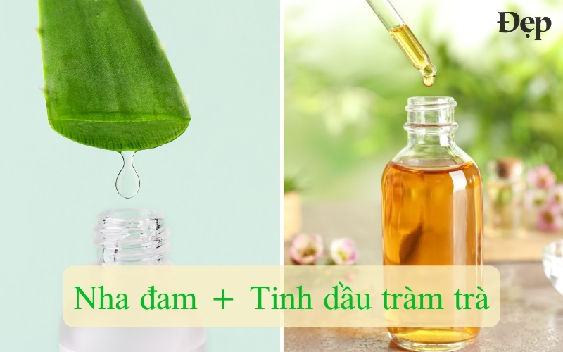 hon-hop-nha-dam-voi-tinh-dau-tram-tra