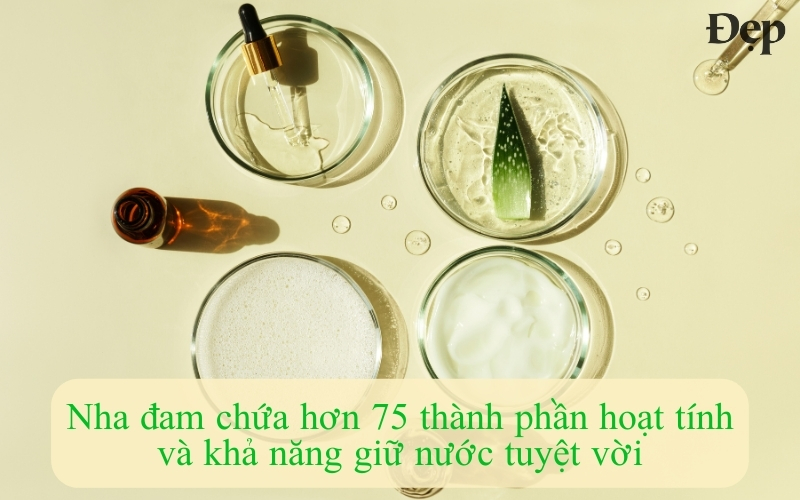 nha-dam-chua-hon-75-thanh-phan-hoat-tinh-co-loi