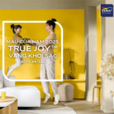 Xu hướng décor màu vàng cho cả năm khởi sắc