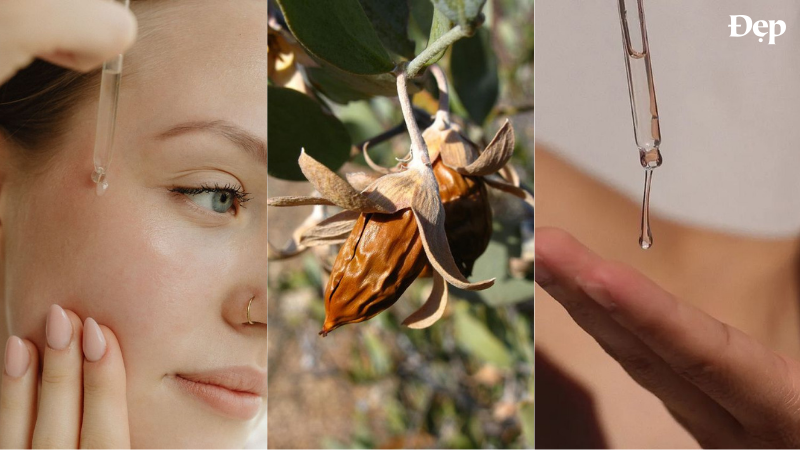 dau-jojoba-thich-hop-nhat-cho-da-mun-kiem-soat-dau-va-lam-sach-lo-chan-long