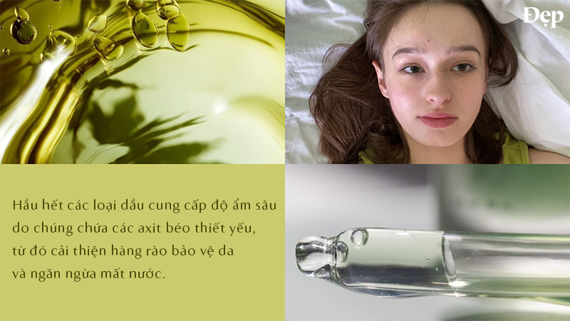 cong-dung-cua-dau-duong-da