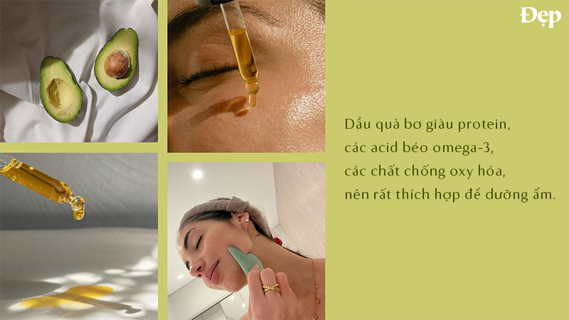 dau-qua-bo-giau-protein-cac-acid-beo-omega-3-cac-chat-chong-oxy-hoa