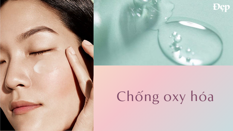 ferulic-acid-co-kha-nang-chong-oxy-hoa