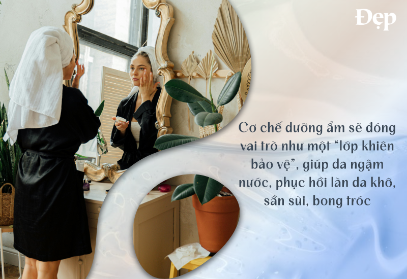 co-che-duong-am-dong-vai-tro-nhu-mot-tam-khien-bao-ve
