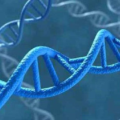 Somalia lần đầu tiên sử dụng ADN để kết án các ‘yêu râu xanh’